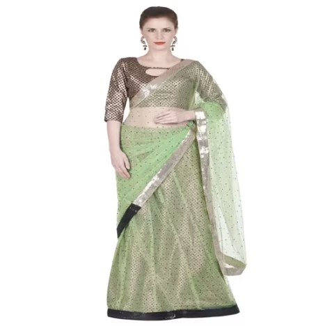 Hi-Fashion Sea Green Jacquard Net Border Lace Work Saree