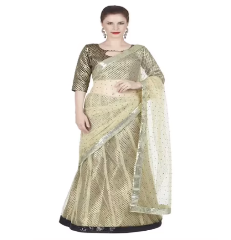 Hi-Fashion Cream Jacquard Net Border Lace Work Saree