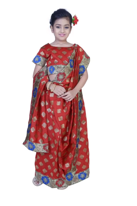 Pazaar Venetian Red embroidered party kids wear saree