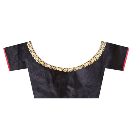 Lookslady Embroidered Black Georgette Saree