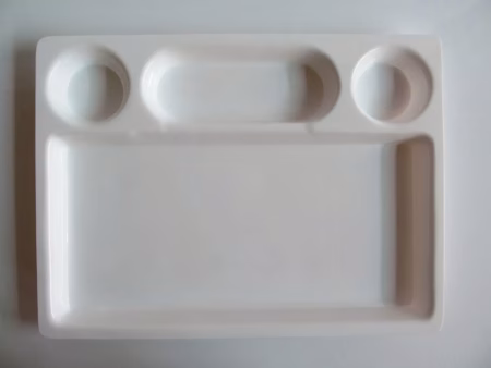 Chhajer Handicraft Acrylic 4 Partition Plate