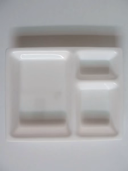 Chhajer Handicraft Acrylic 3 Partition Plate