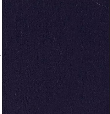 Raymond-Classic Navy Blue Trouser Fabric