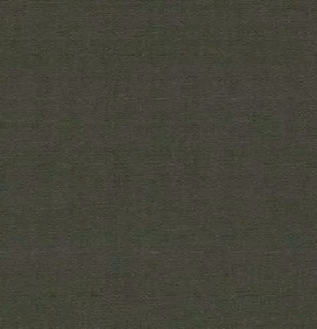 Raymond -Dark Mehndi Green Plain Shirt Fabric