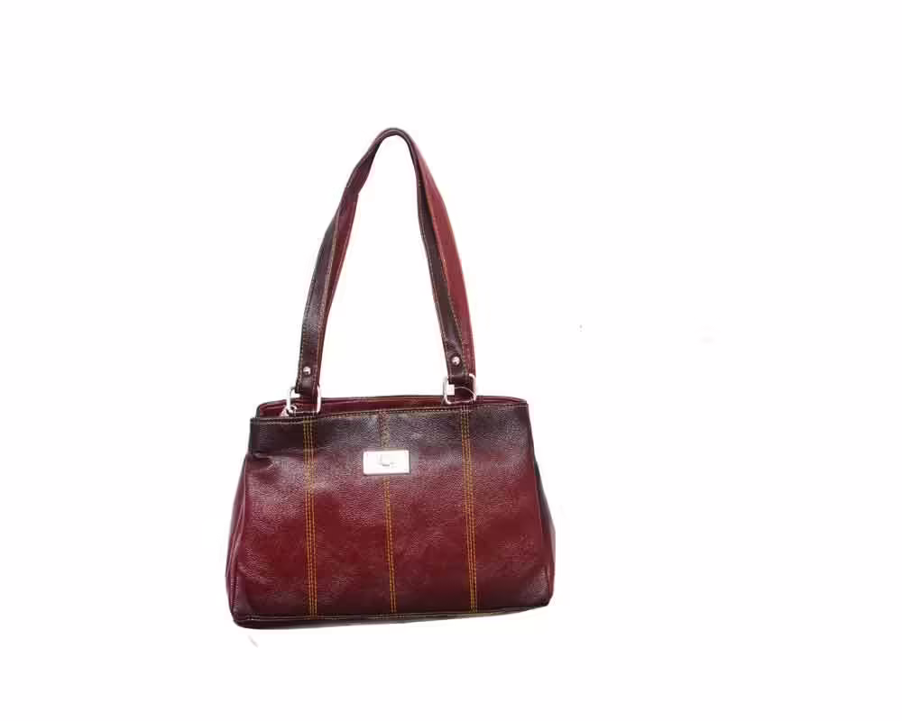 RK Eyecatchy Dual Shade Fashion Bag