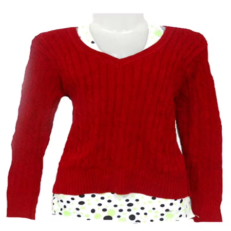 Sporty Maroon Women Pullover