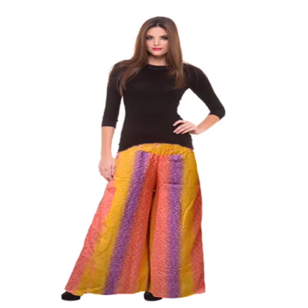 Mario Multi Color Printed Palazzo Pant