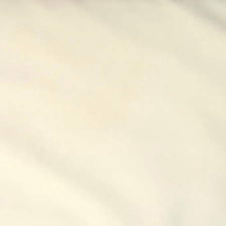 Raymond - Light Cream Plain Shirting Fabric