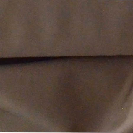 Raymond Plain Brown Trouser Fabric