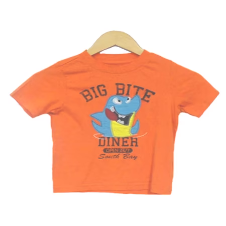 Faded Glory- Stylish Orange Tee (3-4 Years)