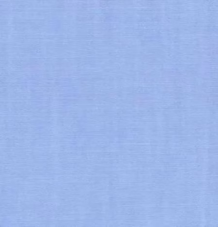 Raymond -Sky Blue Plain Shirt Fabric