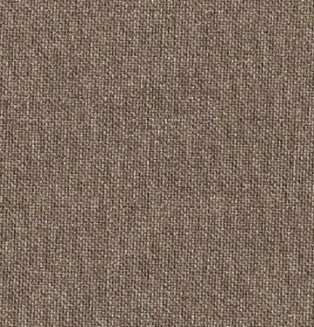 Raymond -Worsted Coffee Trouser Fabric