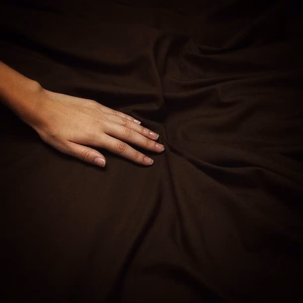 Seasons Double Bedsheet with 2 Pillow Cover Brown - Image 3