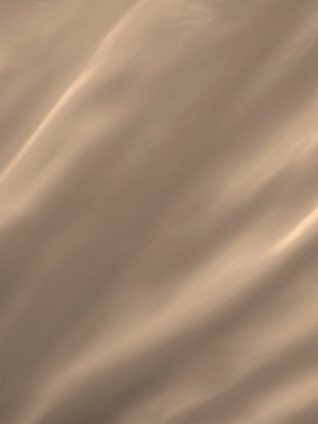 Seasons Plain Bedsheet with 1 Pillow Cover, Beige - Image 4