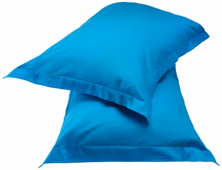 Seasons Oceanic Blue Pillow Cover, Brushed Cotton (Set of 2, Blue, 17" X 27")